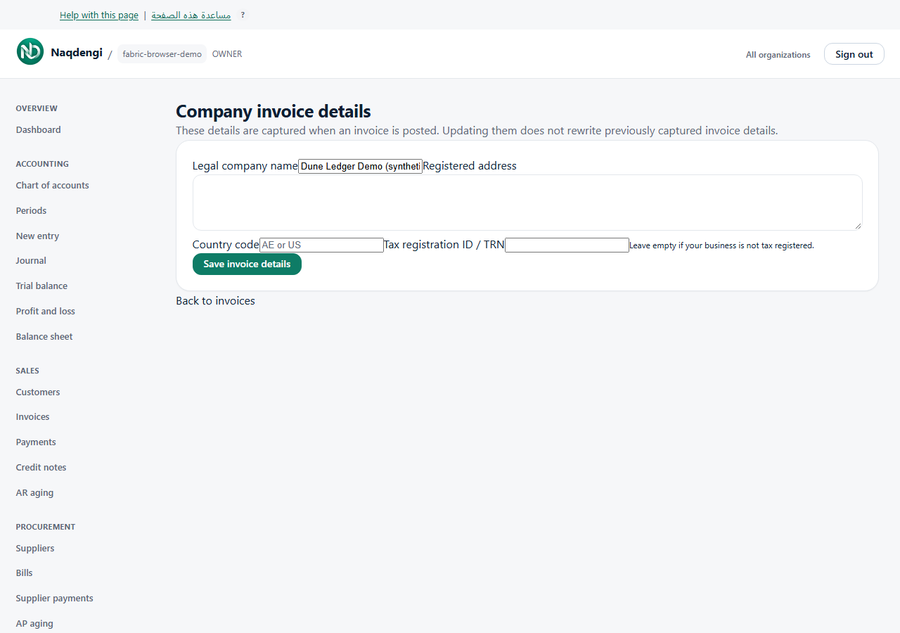 Actual synthetic demo: Set company invoice details. Application labels are shown in English.